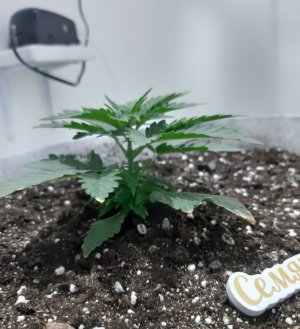 20230806_111925.jpg 20230806_111925.jpg