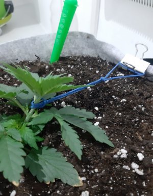 20230807_183536.jpg 20230807_183536.jpg