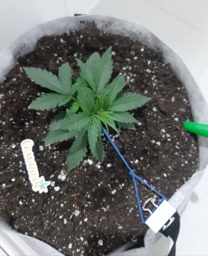 20230807_183455.jpg 20230807_183455.jpg