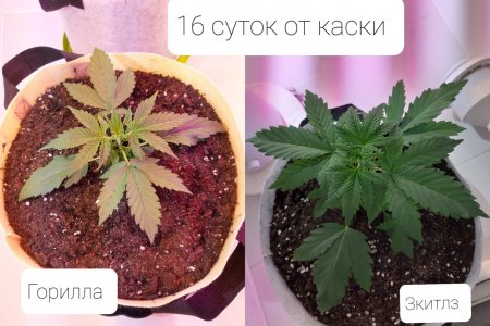 20220412_084534.jpg 20220412_084534.jpg