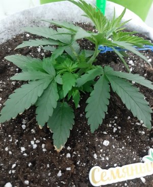 20230807_184245.jpg 20230807_184245.jpg