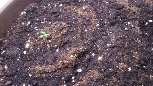 IMG_20230808_114007_068.jpg IMG_20230808_114007_068.jpg