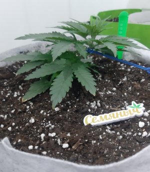 20230808_185217.jpg 20230808_185217.jpg