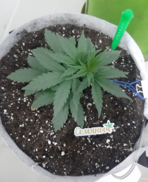 20230808_185237.jpg 20230808_185237.jpg