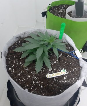 20230808_185157.jpg 20230808_185157.jpg