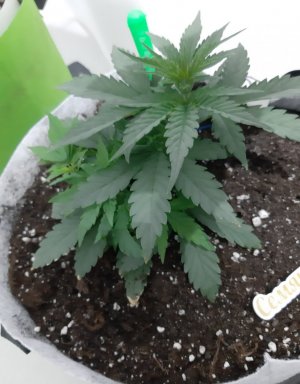 20230808_192305.jpg 20230808_192305.jpg