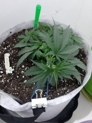 20230809_172145.jpg 20230809_172145.jpg