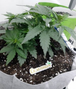 20230809_174155.jpg 20230809_174155.jpg