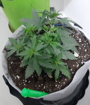 20230809_174116.jpg 20230809_174116.jpg