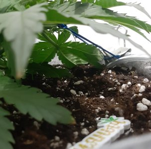 20230809_184039.jpg 20230809_184039.jpg