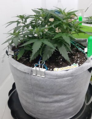 20230811_204527.jpg 20230811_204527.jpg