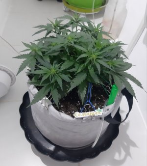 20230811_205518.jpg 20230811_205518.jpg