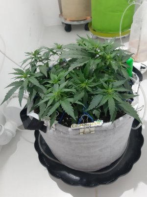 20230811_205445.jpg 20230811_205445.jpg