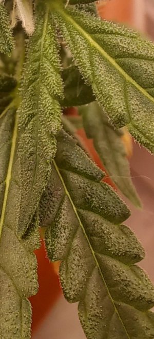 20230811_120305.jpg 20230811_120305.jpg