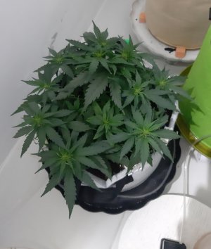 20230812_104836.jpg 20230812_104836.jpg