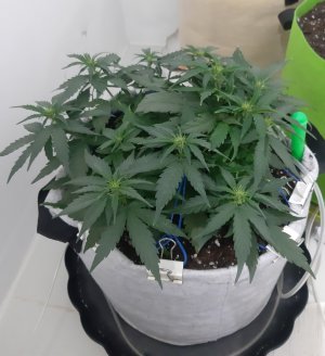 20230812_104924.jpg 20230812_104924.jpg