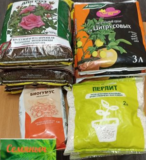 Picsart_23-08-09_11-07-20-709.jpg Picsart_23-08-09_11-07-20-709.jpg