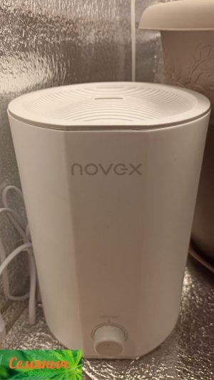 Picsart_23-08-11_14-06-52-042.jpg Picsart_23-08-11_14-06-52-042.jpg