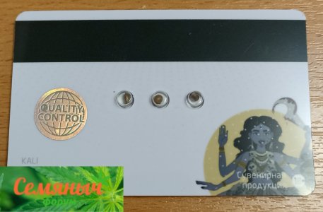 Picsart_23-08-09_11-13-41-767.jpg Picsart_23-08-09_11-13-41-767.jpg