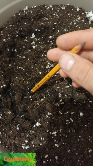 Picsart_23-08-09_11-16-44-444.jpg Picsart_23-08-09_11-16-44-444.jpg