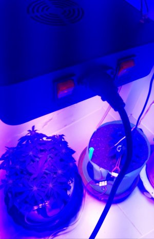 20230812_200744.jpg 20230812_200744.jpg