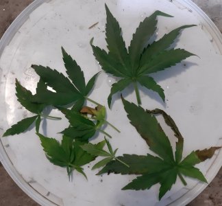 20230812_201022.jpg 20230812_201022.jpg