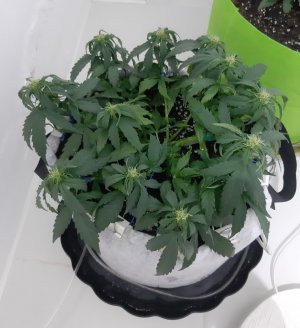 20230812_201002.jpg 20230812_201002.jpg