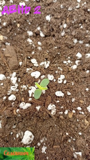 Picsart_23-08-09_11-34-35-350.jpg Picsart_23-08-09_11-34-35-350.jpg