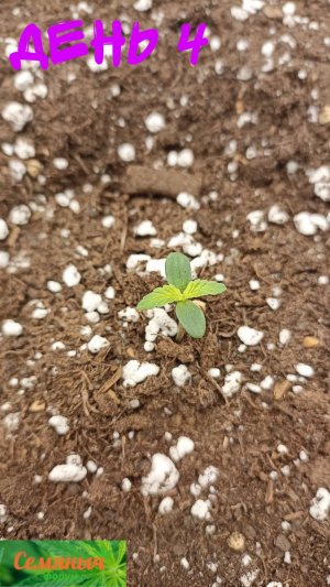 Picsart_23-08-10_07-38-42-119.jpg Picsart_23-08-10_07-38-42-119.jpg