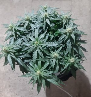 20230813_143612.jpg 20230813_143612.jpg