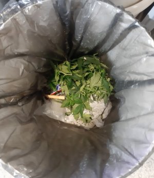 20230813_143430.jpg 20230813_143430.jpg