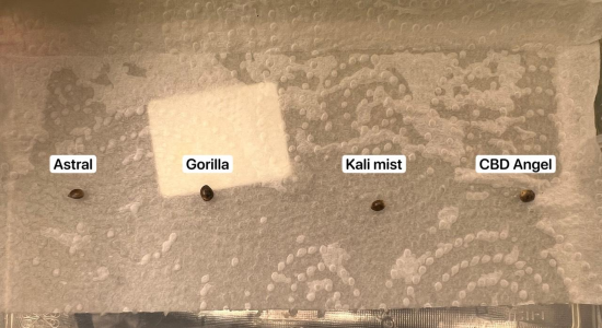 1692049951063.png 1692049951063.png