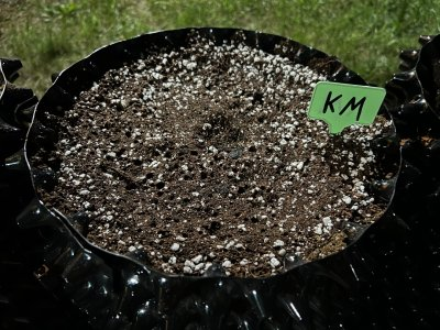 1692049992131.png 1692049992131.png