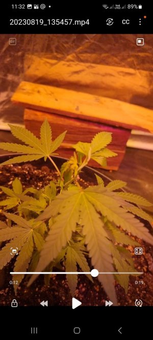 Screenshot_20230820_113258_Video Player.jpg