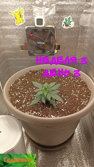 Picsart_23-08-24_08-09-00-131.jpg Picsart_23-08-24_08-09-00-131.jpg