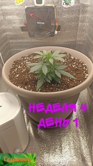 Picsart_23-08-28_07-50-50-209.jpg Picsart_23-08-28_07-50-50-209.jpg