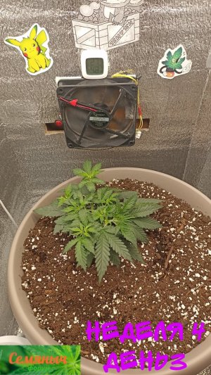 Picsart_23-08-30_08-19-06-320.jpg Picsart_23-08-30_08-19-06-320.jpg