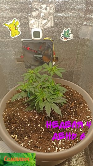 Picsart_23-09-02_07-29-14-977.jpg Picsart_23-09-02_07-29-14-977.jpg