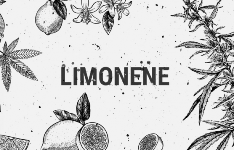 1693996692711.png 1693996692711.png