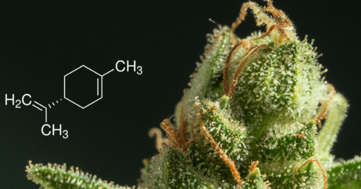 1693996741875.png 1693996741875.png