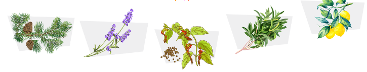 1693996795343.png 1693996795343.png