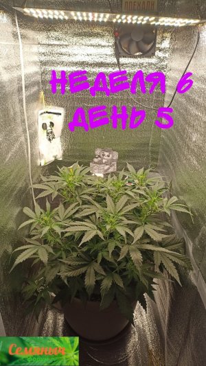 Picsart_23-09-15_07-25-24-256.jpg Picsart_23-09-15_07-25-24-256.jpg