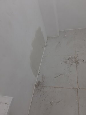 20230919_201905.jpg 20230919_201905.jpg