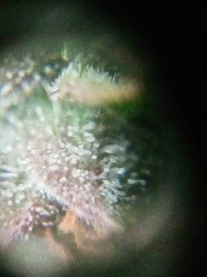 IMG20230920131746.jpg IMG20230920131746.jpg