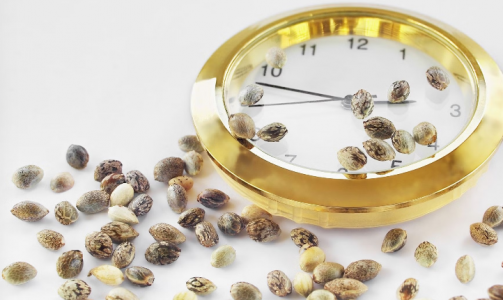 1695216847039.png 1695216847039.png