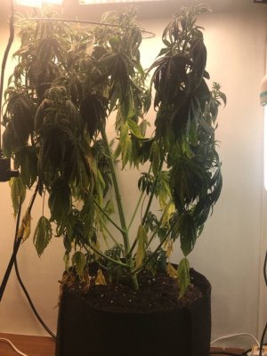 IMG_3861.jpeg IMG_3861.jpeg