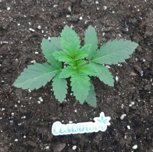 20230924_200235.jpg 20230924_200235.jpg