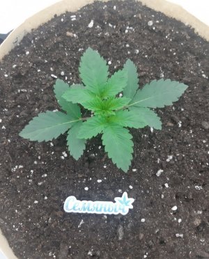 20230924_200222.jpg 20230924_200222.jpg