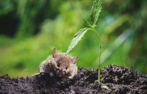 1695721419877.png 1695721419877.png