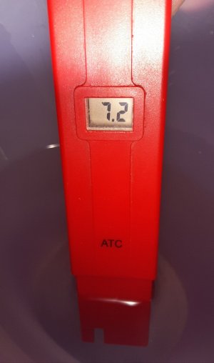 20230501_170124.jpg 20230501_170124.jpg